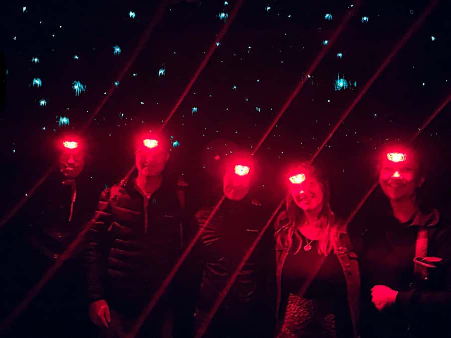 Sydney: Blue Mountains Glow Worms Wild Adventure by Night - What to bring so the night feels easy