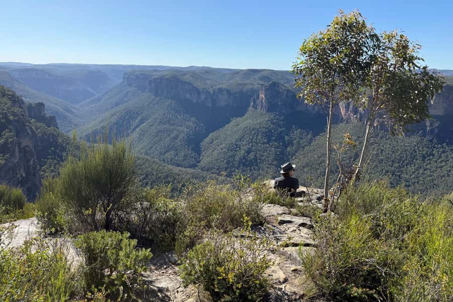 Sydney: Blue Mountains Kangaroos, Wilderness and Sunset Tour - Wildlife and kangaroos: the real reason to pick a guided day