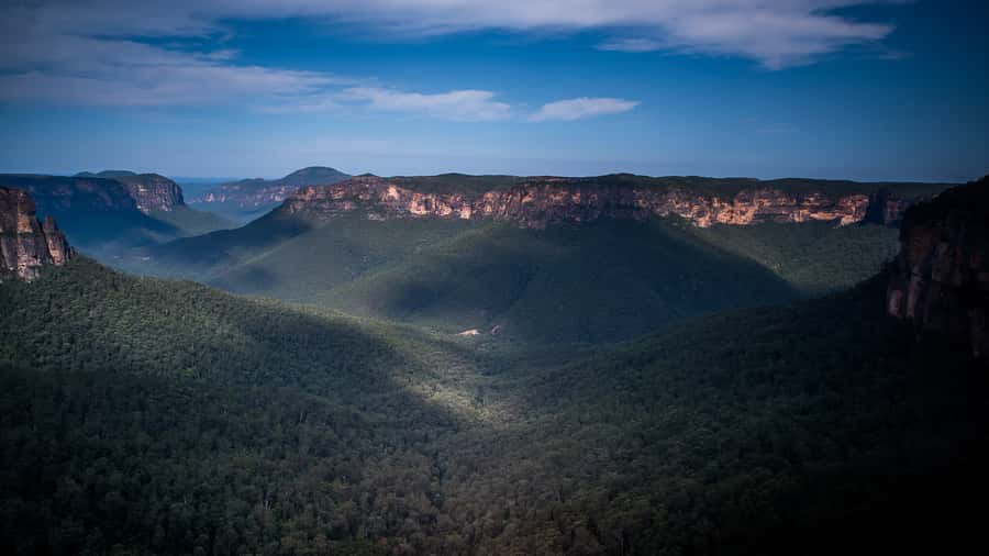 Sydney: Blue Mountains Late Start: Walks, Wildlife & Dinner - Key Points Before You Go