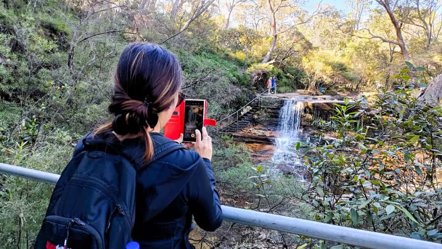 Sydney: Blue Mountains Late Start: Walks, Wildlife & Dinner - Pace, Fitness, and the Weather Reality