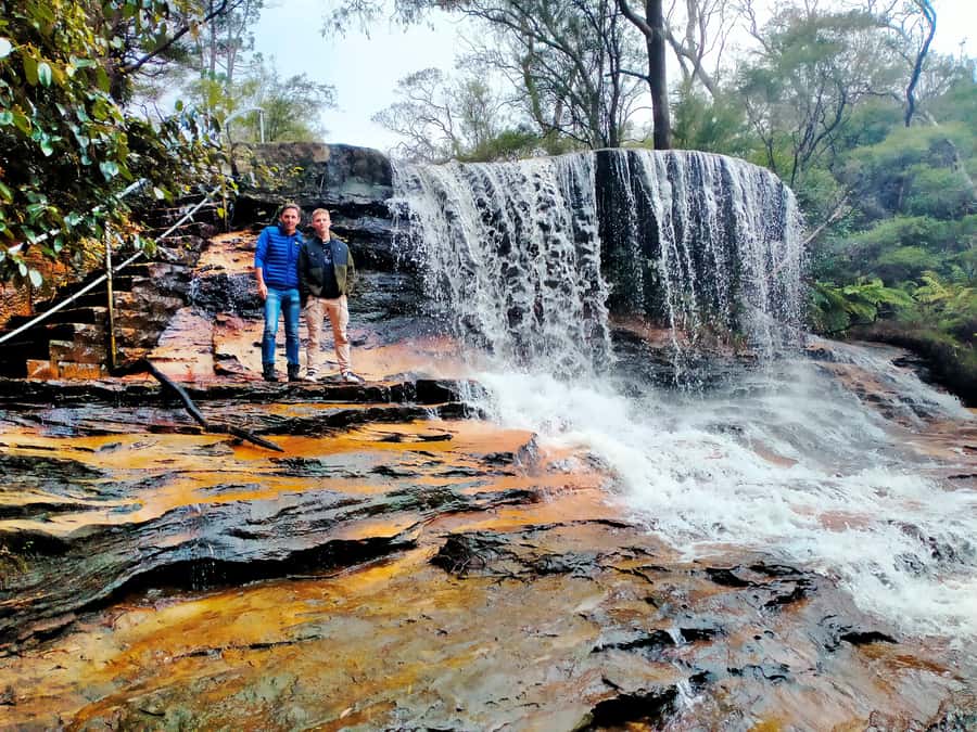 Sydney: Blue Mountains Late Start: Walks, Wildlife & Dinner - Dinner in the Blue Mountains: Sit-Down, Not an Afterthought