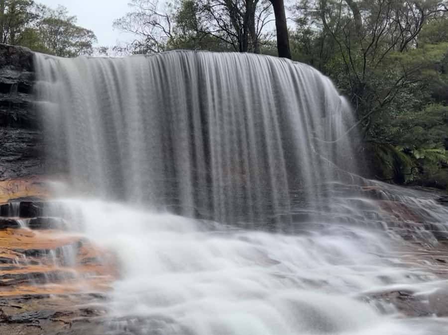 Sydney: Blue Mountains National Park Tour with River Cruise - First stop: Sydney Zoo, where Australian animals steal the show