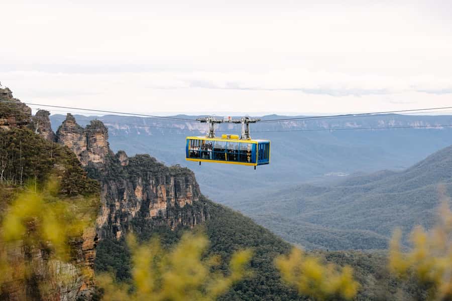Sydney: Blue Mountains Scenic World, Wildlife Park and Lunch - Key Highlights You’ll Actually Use