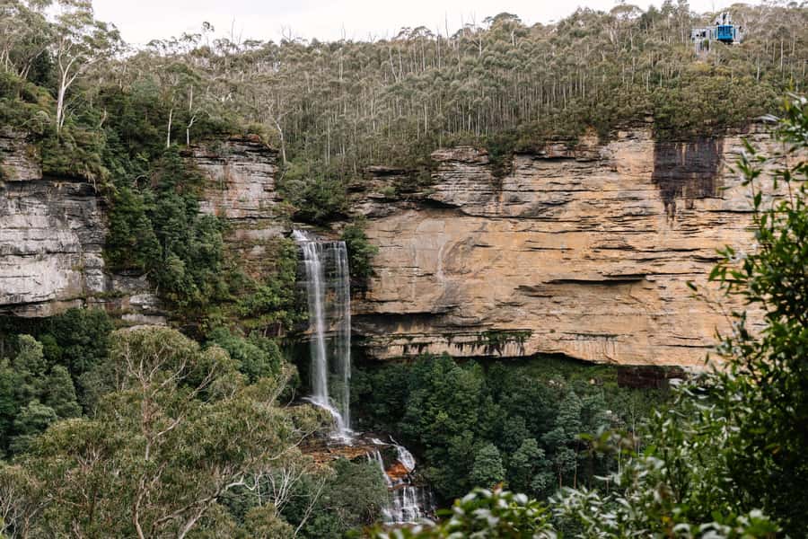Sydney: Blue Mountains Scenic World, Wildlife Park and Lunch - Pace, Group Size, and Transport From Central Sydney