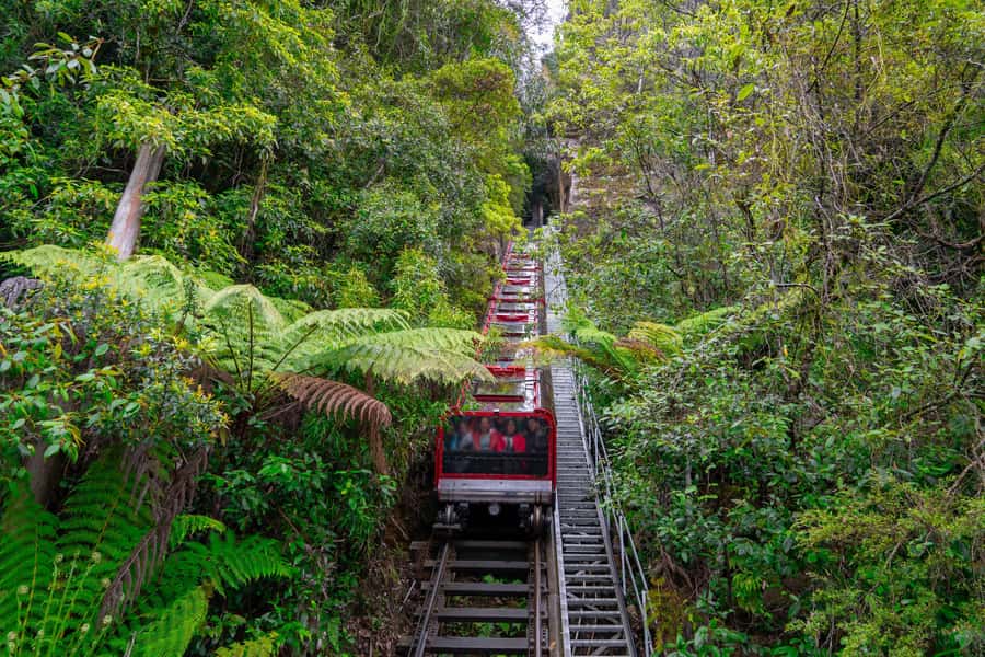 Sydney: Blue Mountains, Scenic World, Zoo & Lincoln's Rock - Katoomba Scenic World: Scenic Railway adrenaline plus clifftop rides