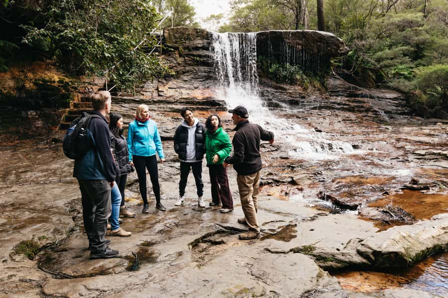 Sydney: Blue Mountains Wildlife & Bushwalk Small-Group Tour - Price and what $133 really buys you