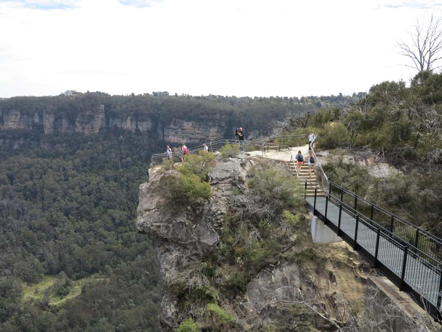 Sydney: Blue Mountains Wildlife & Bushwalk Small-Group Tour - Wentworth Falls bushwalk: short hike, real steps, big payoff