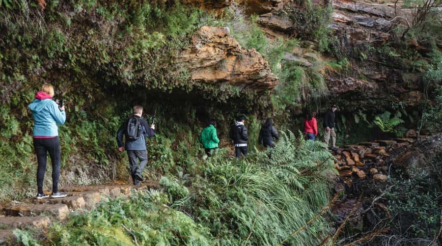 Sydney: Blue Mountains Wildlife & Bushwalk Small-Group Tour - Getting out of Sydney: pickups that actually help