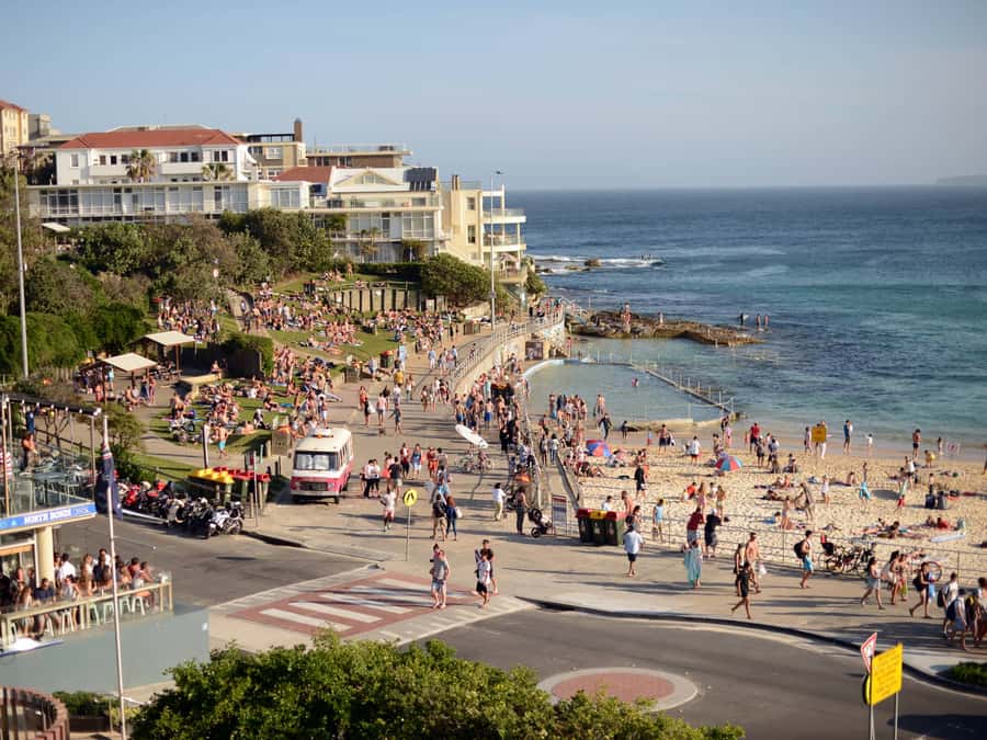 Sydney: City Highlights Guided Bus Tour - Price and timing: how $34 buys you structure (and options)
