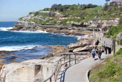 Sydney City Highlights & Hidden Gems: Private or Small Group Tour - Pickup, private-vehicle comfort, and how the day feels