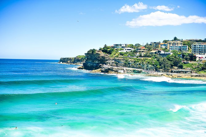 Sydney City Private Tour - North Head Harbour Views: Skyline, Coffee, and That Secluded Feel