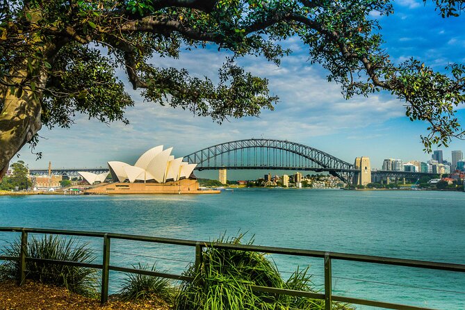 Sydney Combo: Morning Sightseeing to Bondi & Harbour Lunch Cruise - Price and value: what $176.44 buys you