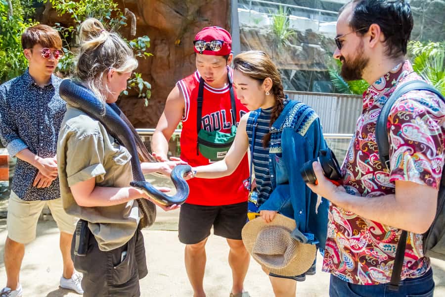 Sydney: Combo Pass for 2, 3, or 4 Top City Attractions - Why This Sydney Attraction Combo Makes Sense