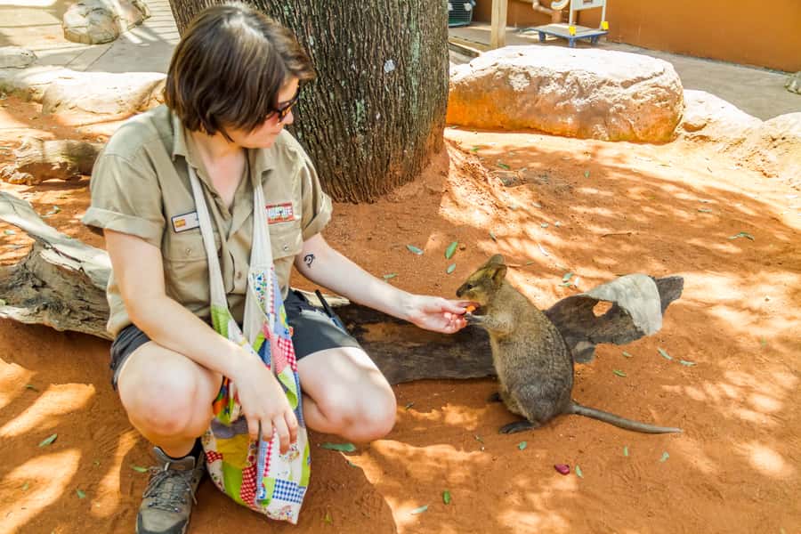 Sydney: Combo Pass for 2, 3, or 4 Top City Attractions - Planning Your Month: Best Ways to Space Visits