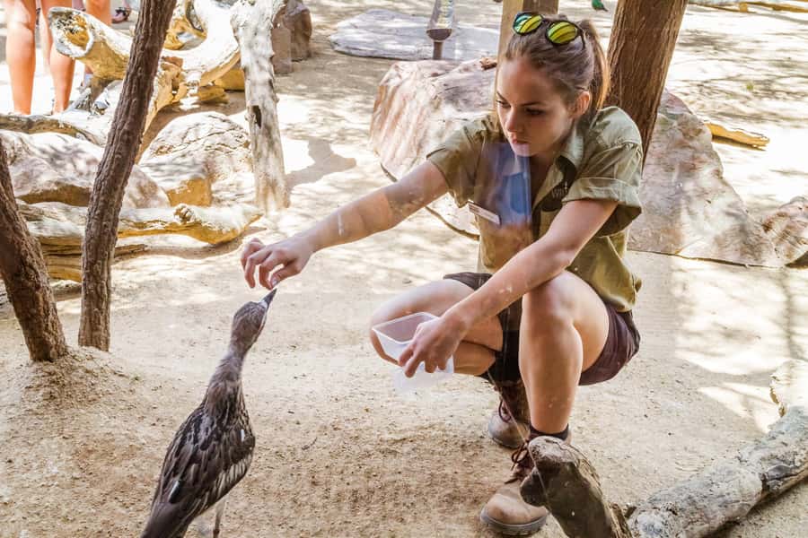 Sydney: Combo Pass for 2, 3, or 4 Top City Attractions - Price and Logistics: When the Deal Really Works