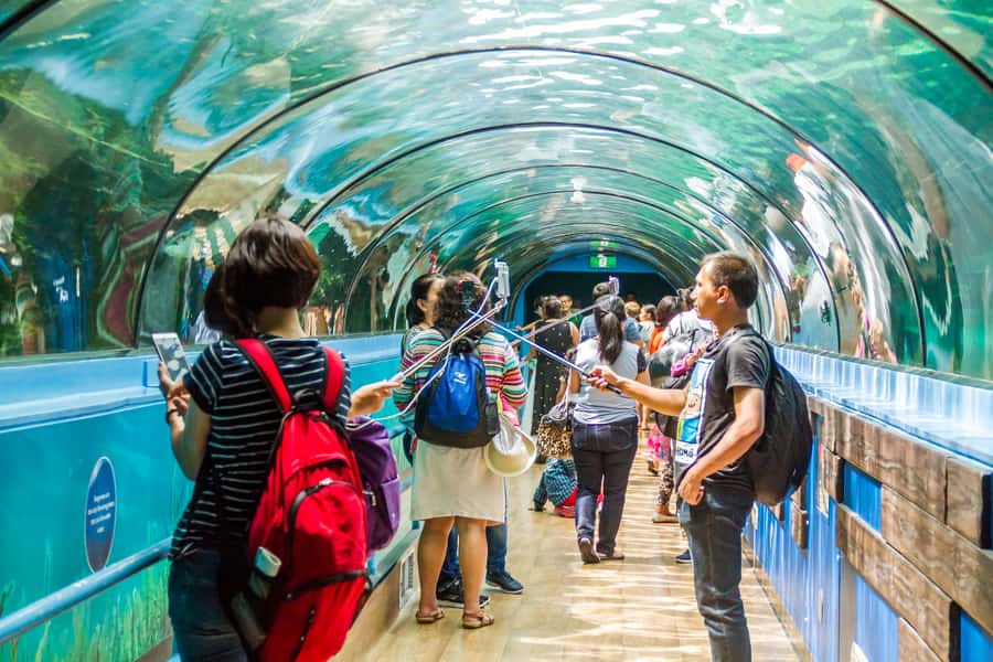 Sydney: Combo Pass for 2, 3, or 4 Top City Attractions - How The Pass Works: Swipe Card, 60-Day Window, and Timeslots