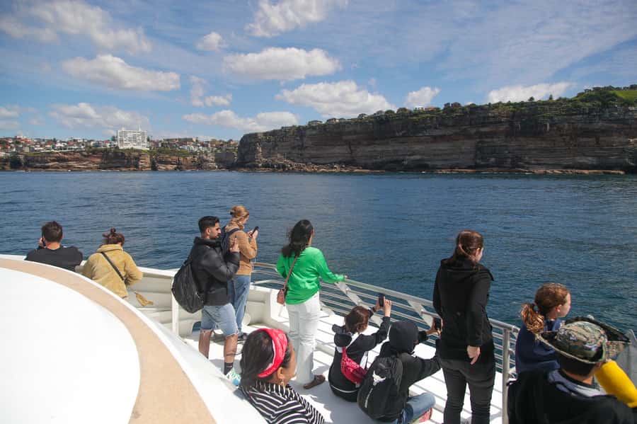 Sydney: Discovery Whale Watching Tour by Catamaran - Deck Sound, Commentary, and How to Hear the Guide