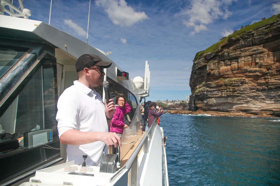 Sydney: Discovery Whale Watching Tour by Catamaran - Weather, Choppy Water, and Motion-Sickness Reality