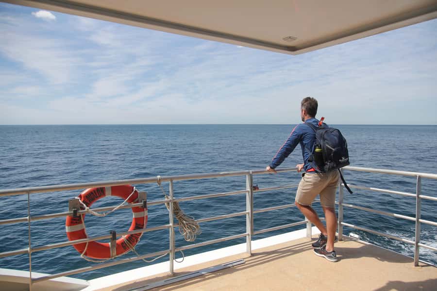 Sydney: Discovery Whale Watching Tour by Catamaran - Who Should Book This Whale Watching Cruise?