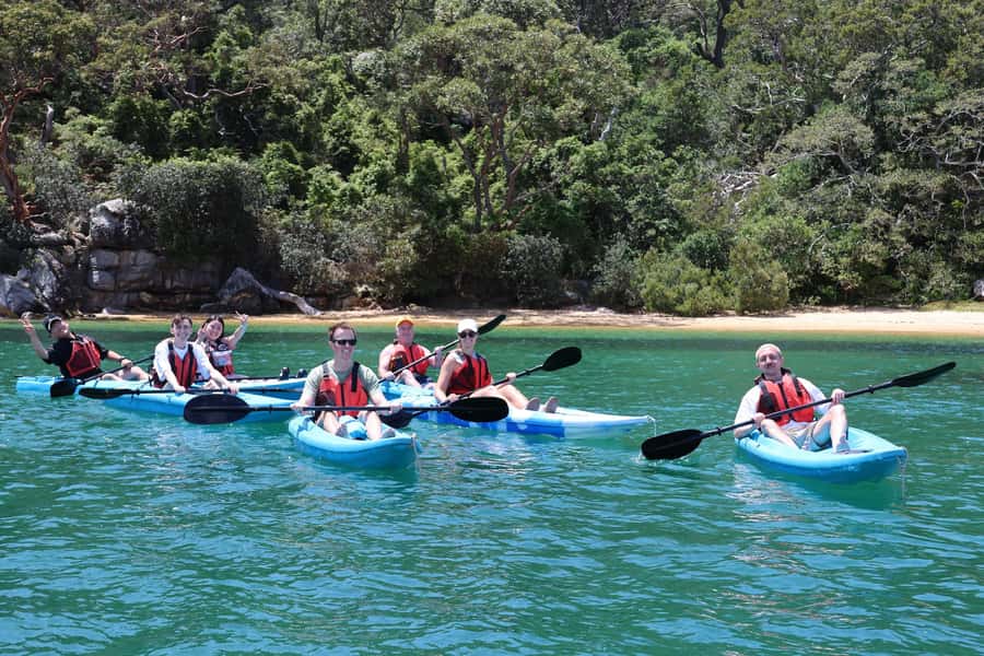 Sydney: Guided Kayak Tour of Manly Cove Beaches - Key Points Before You Go
