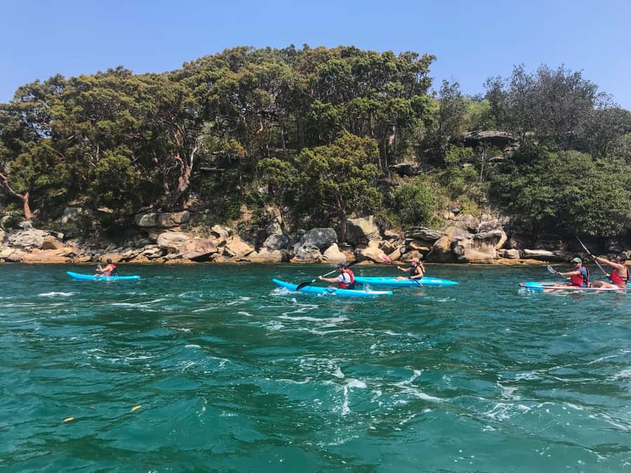 Sydney: Guided Kayak Tour of Manly Cove Beaches - Getting Set Up: Kayaks, Life Jackets, Dry Bags, and the Safety Flow