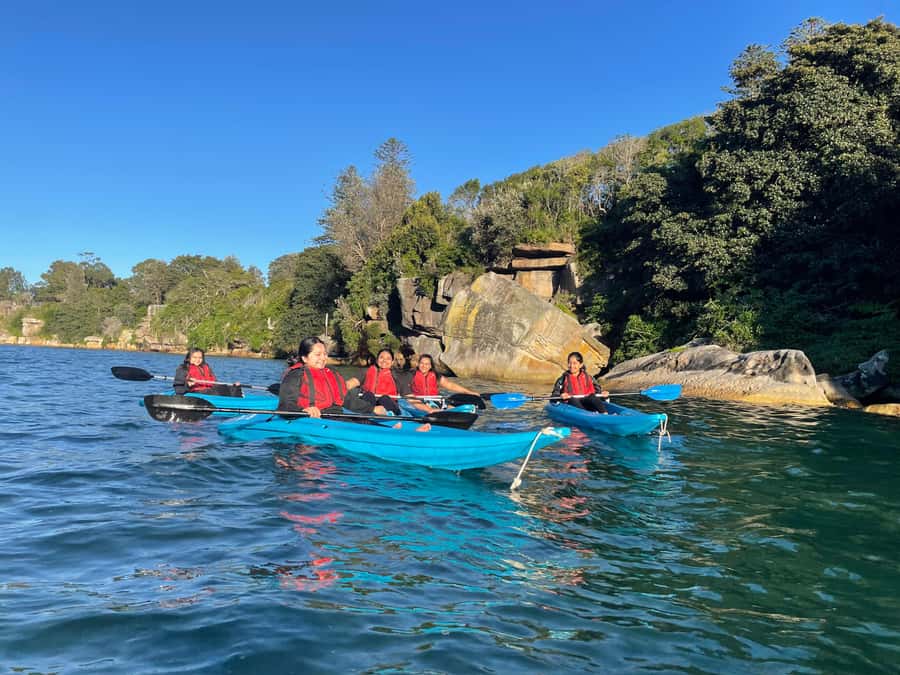 Sydney: Guided Kayak Tour of Manly Cove Beaches - Price and Value: $67 for 150 Minutes of Real Access