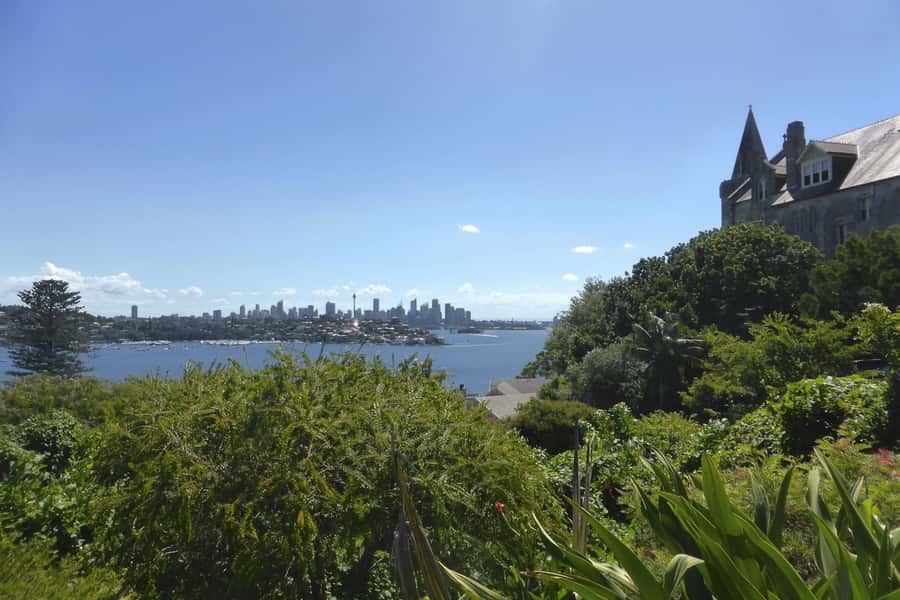 Sydney: Half-Day City Tour - The Gap, Dover Heights, and that moment the harbour spills into open ocean