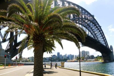 Sydney: Half-Day City Tour - The small-group format and what the 4 hours really feel like