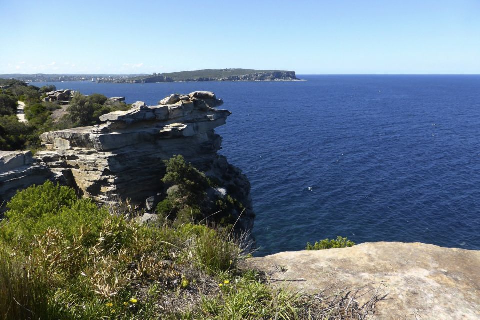 Sydney: Half-Day City Tour - Double Bay, Point Piper, and the harbour-side postcode fantasy