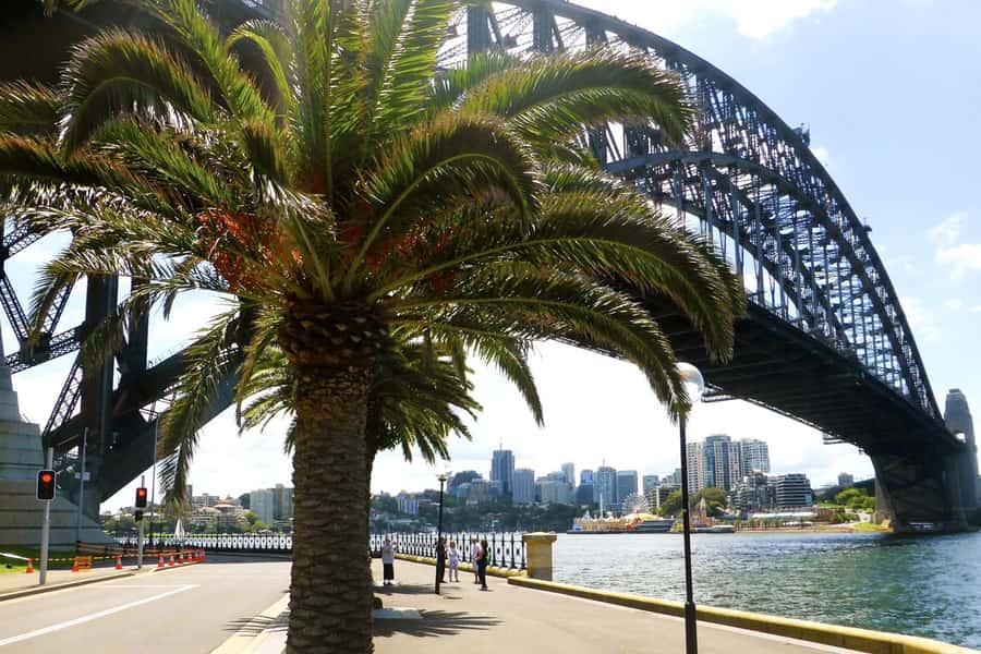 Sydney: Half-Day City Tour - The small-group format and what the 4 hours really feel like