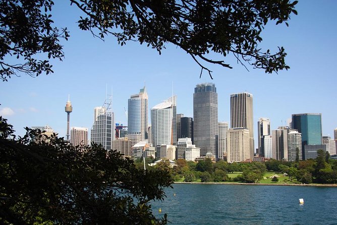 Sydney Half Day Private Tour: See Sydney Opera House and Bondi - Key Highlights You Actually Feel During the Tour