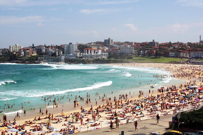 Sydney Half Day Private Tour: See Sydney Opera House and Bondi - Watsons Bay for Sea-Air Views, Then On to Bondi