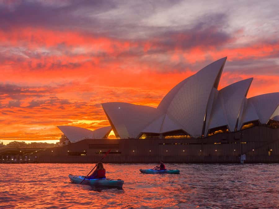 Sydney: Harbour Sunrise Kayak Tour - Free Photos and Videos: The Smart Part You’ll Be Glad You Paid For