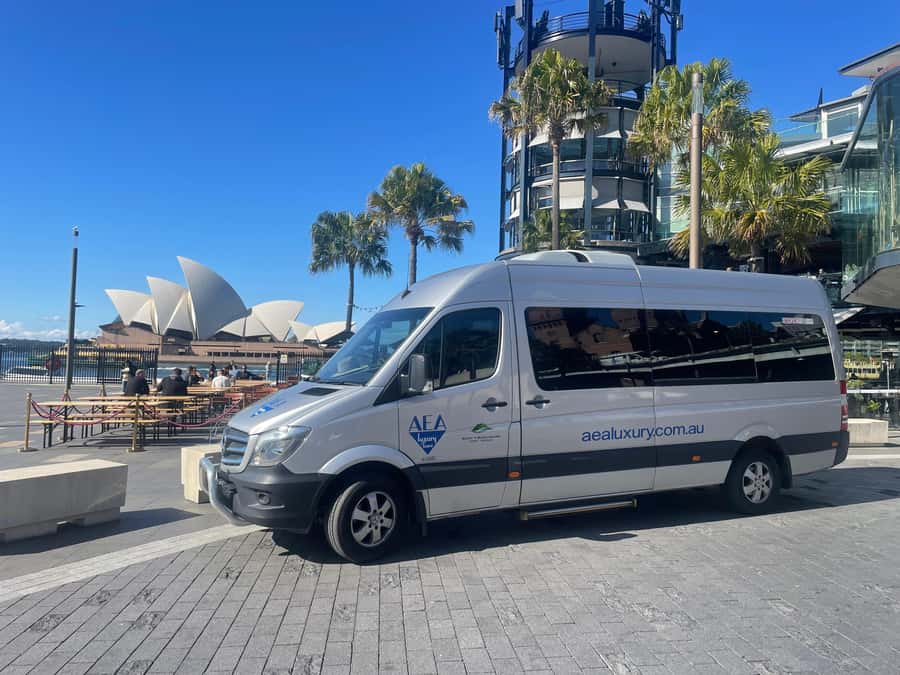 Sydney Harbour to Bondi: Small Group Half–Day Experience - Why this half-day Sydney route works for first-timers
