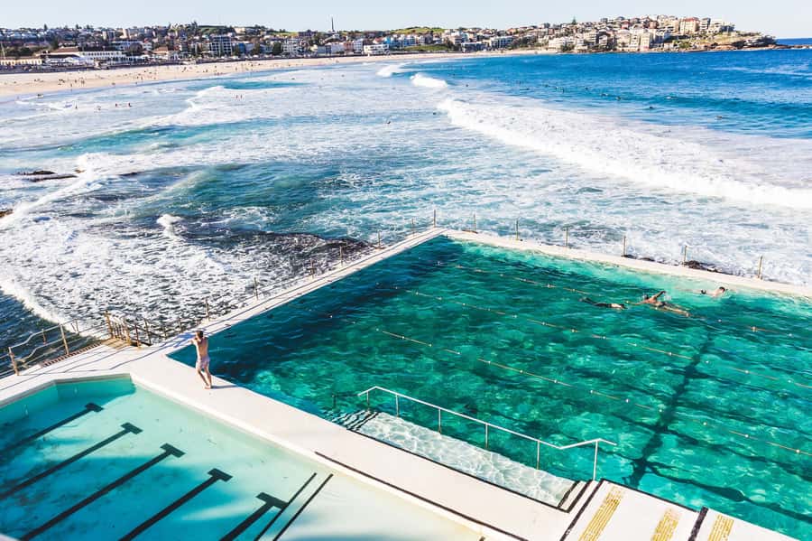 Sydney Harbour to Bondi: Small Group Half–Day Experience - Opera House and Harbour Bridge views without the stress of parking