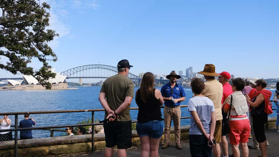 Sydney Harbour to Bondi: Small Group Half–Day Experience - Bondi Beach plus the Tamarama and Brontë coastal cliff walk