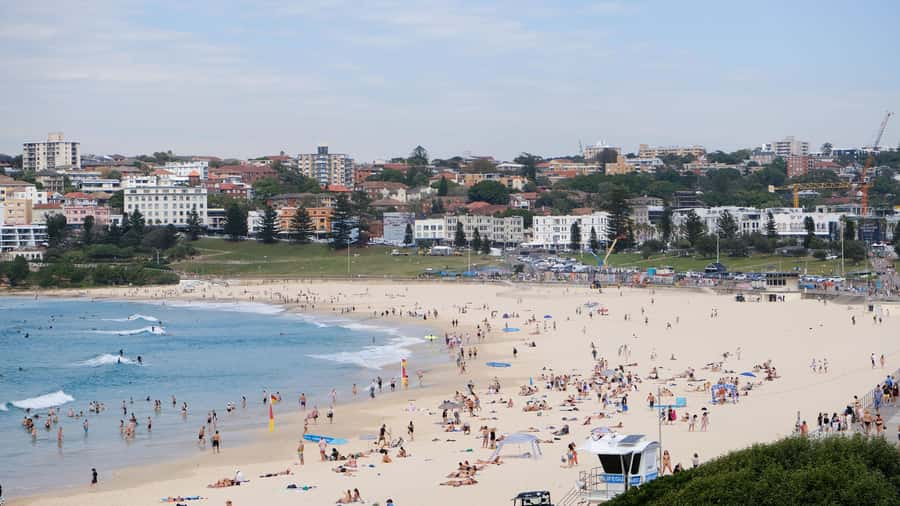 Sydney Harbour to Bondi: Small Group Half–Day Experience - How the small-group format changes the day