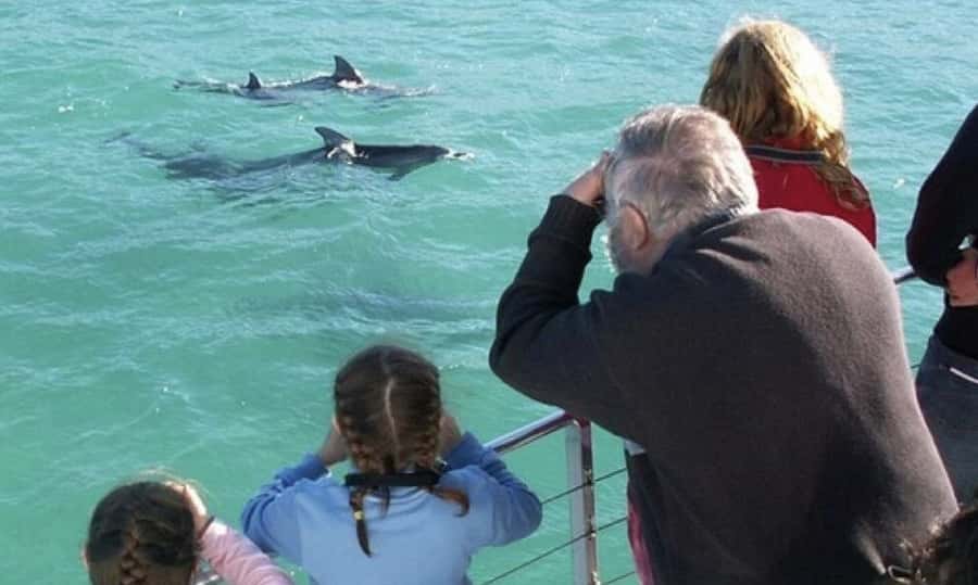 Sydney: Jervis Bay Day Trip with Dolphins, Roos & Beach Time - Jervis Bay from Sydney: why it feels like a different country