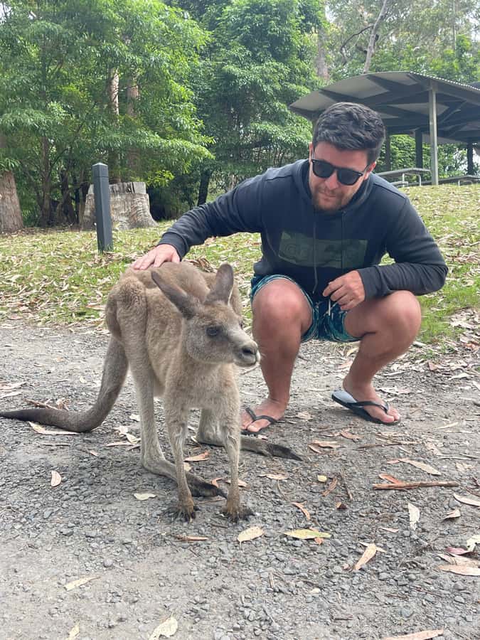 Sydney: Jervis Bay Day Trip with Dolphins, Roos & Beach Time - Huskisson lunch break: use it to actually eat, not just browse