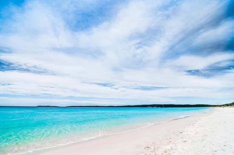 Sydney: Jervis Bay Day Trip with Dolphins, Roos & Beach Time - Hyams Beach and the White Sands Trail: the barefoot factor