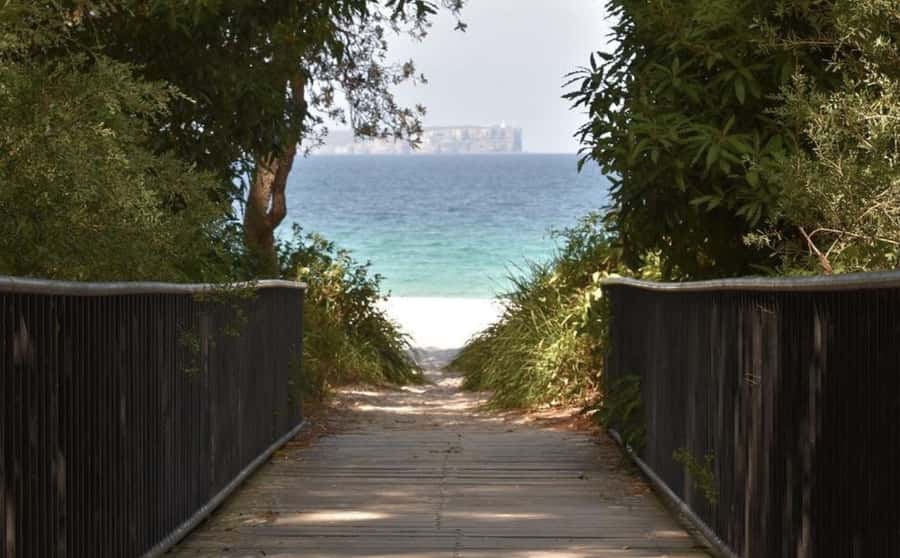 Sydney: Jervis Bay Day Trip with Dolphins, Roos & Beach Time - How small-group pacing and bilingual guides change your day