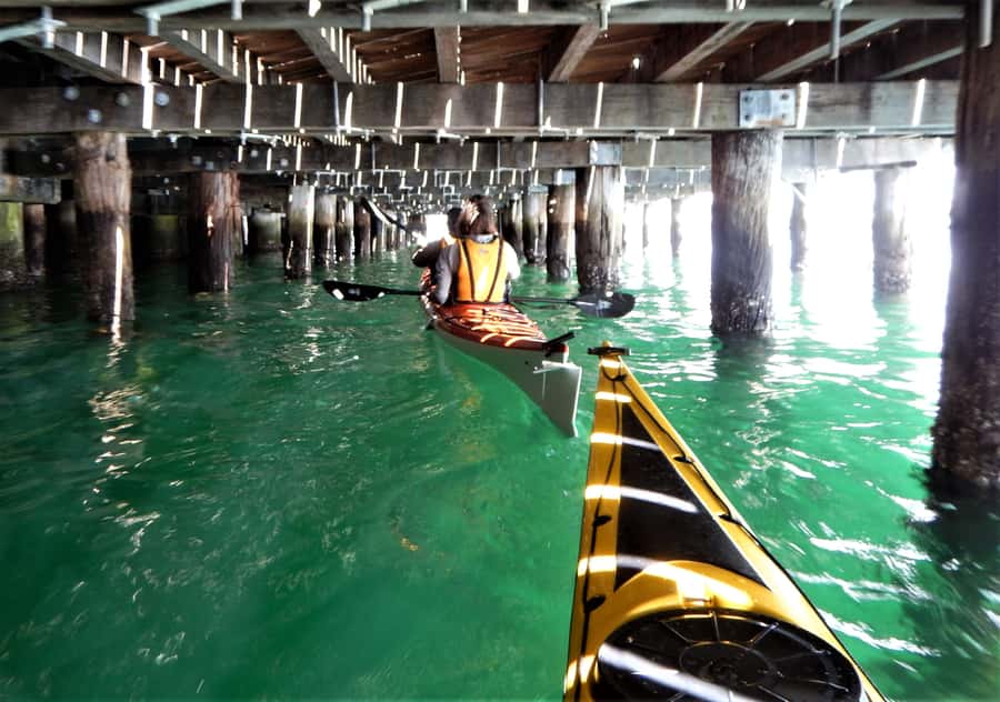 Sydney: Kayak to Goat Island At The Heart of Sydney Harbour - Group Size and Timing: Better Control, Less Waiting