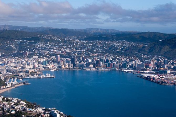 Sydney Kingsford Smith Airport: Shared Transfer to Sydney CBD - Comfort and driver quality: what you should expect
