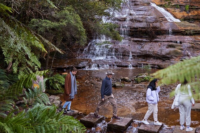 Sydney: Luxury Blue Mountains Adventure as a Small Group Day Tour - Key things I’d watch for