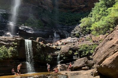 Sydney: Luxury Blue Mountains Adventure as a Small Group Day Tour - Featherdale Sydney Wildlife Park: a close-up animal start