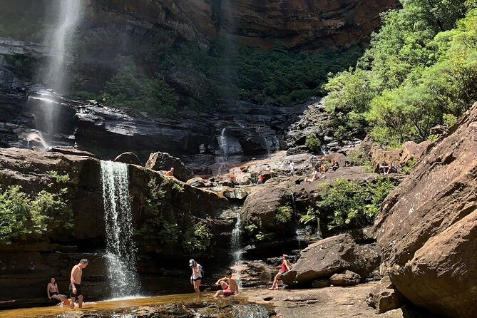 Sydney: Luxury Blue Mountains Adventure as a Small Group Day Tour - Featherdale Sydney Wildlife Park: a close-up animal start