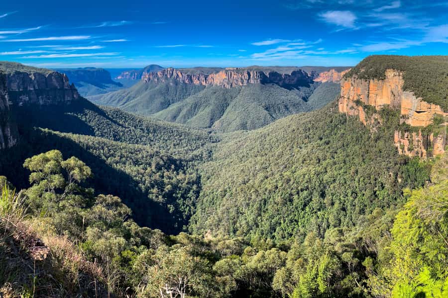 Sydney: Luxury Blue Mountains Adventure with Wentworth Falls - From Sydney hotels to Featherdale: an early start that pays off