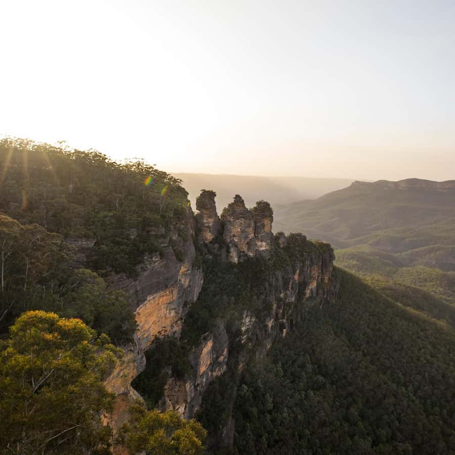 Sydney: Luxury Blue Mountains Adventure with Wentworth Falls - Featherdale Wildlife Park: meet Australia close-up and on purpose