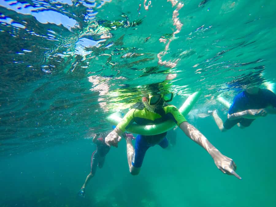 Sydney: Manly and Shelly Beach Snorkeling Tour - Meeting at Shelly Beach: start on sand, not on stress