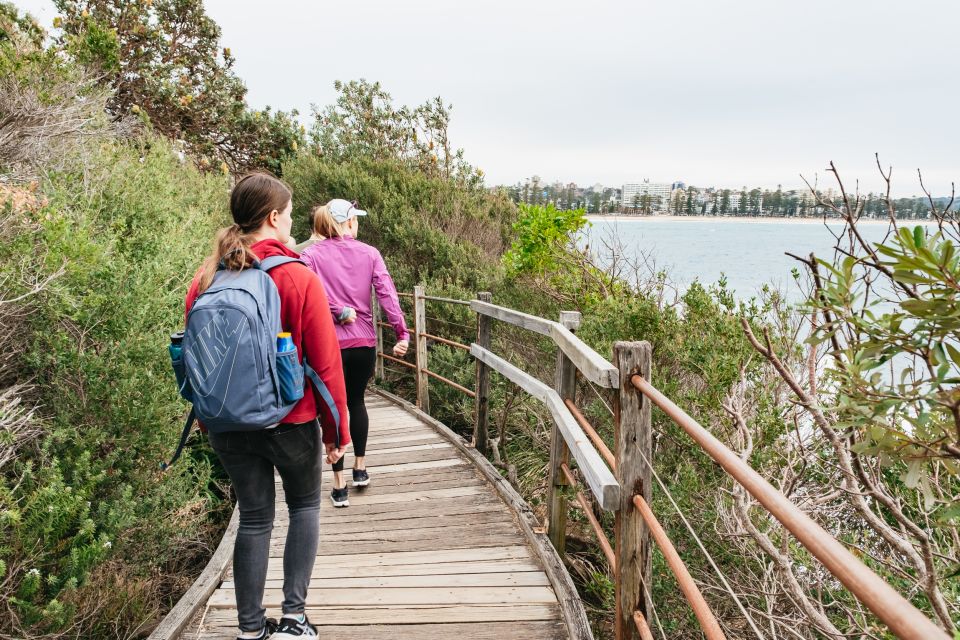 Sydney: Manly and Shelly Beach Snorkeling Tour - The gear matters: wetsuits, masks, and staying comfortable longer